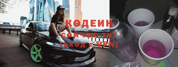сатива Коряжма