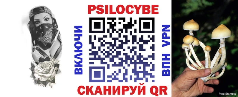 Псилоцибиновые грибы GOLDEN TEACHER  Катайск 